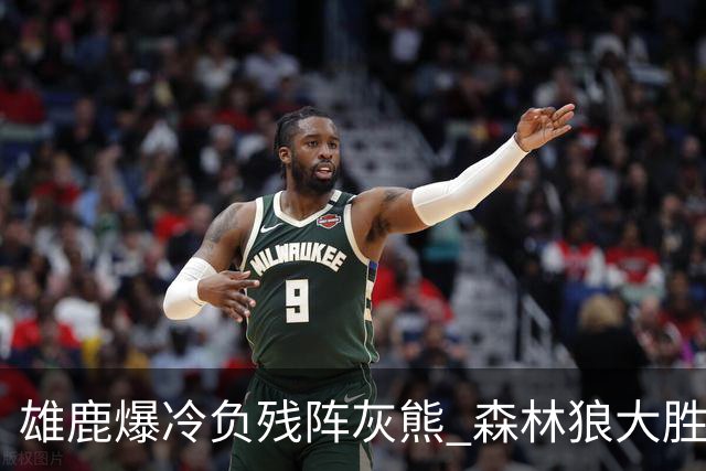 雄鹿爆冷负残阵灰熊 森林狼大胜开拓者4连胜